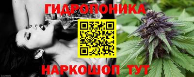 дживик Кунгур