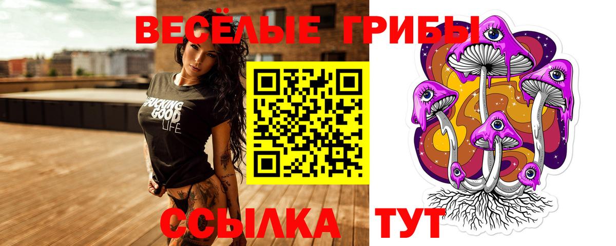 Псилоцибиновые грибы мицелий  Вход с VPN  Тимашёвск 